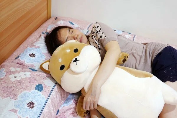 Emily愛玩美推薦傲嘟嘟の柴之助，捏又好抱的舒壓發洩娃娃