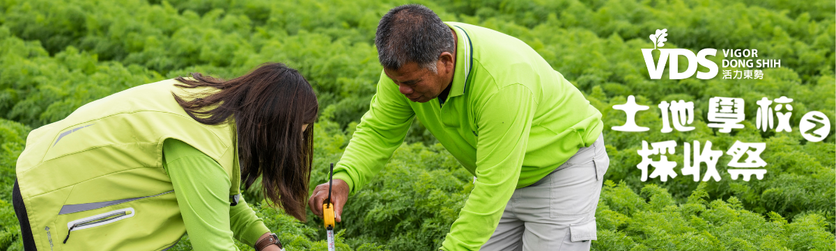 VDS活力東勢土地學校採收祭