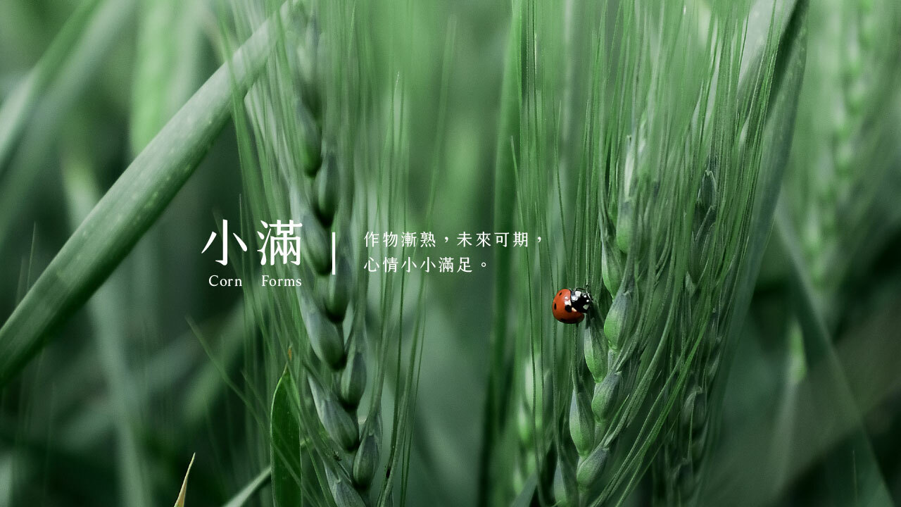 小滿 作物漸熟，未來可期，心情小小滿足。