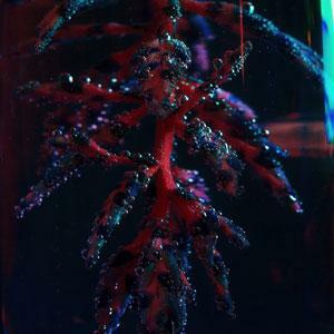 Objekt《Cocoon Crush》（2LP）