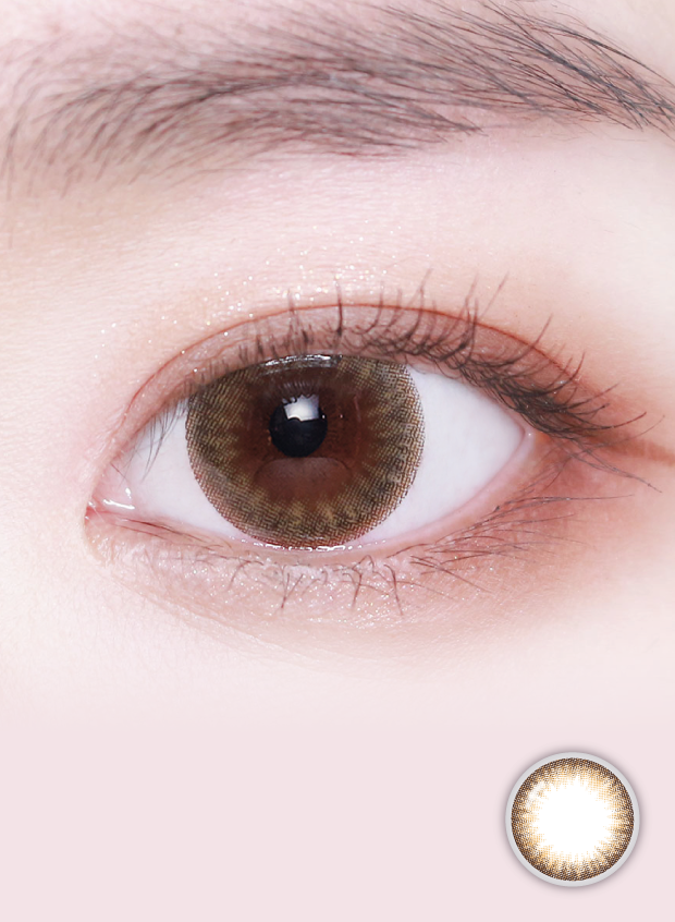 LensVery Sydney 1 Day  日拋彩妝隱形眼鏡｜每盒10片 (Brown)