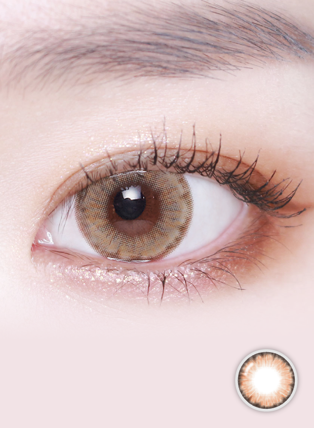 LensVery 1 Day Wonder Eye  每日即棄彩妝隱形眼鏡｜10片/盒 (Brown )