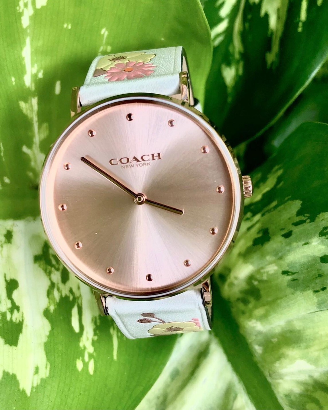 【Coach】時尚簡約花卉腕錶 CO14503920 32mm 現代鐘錶