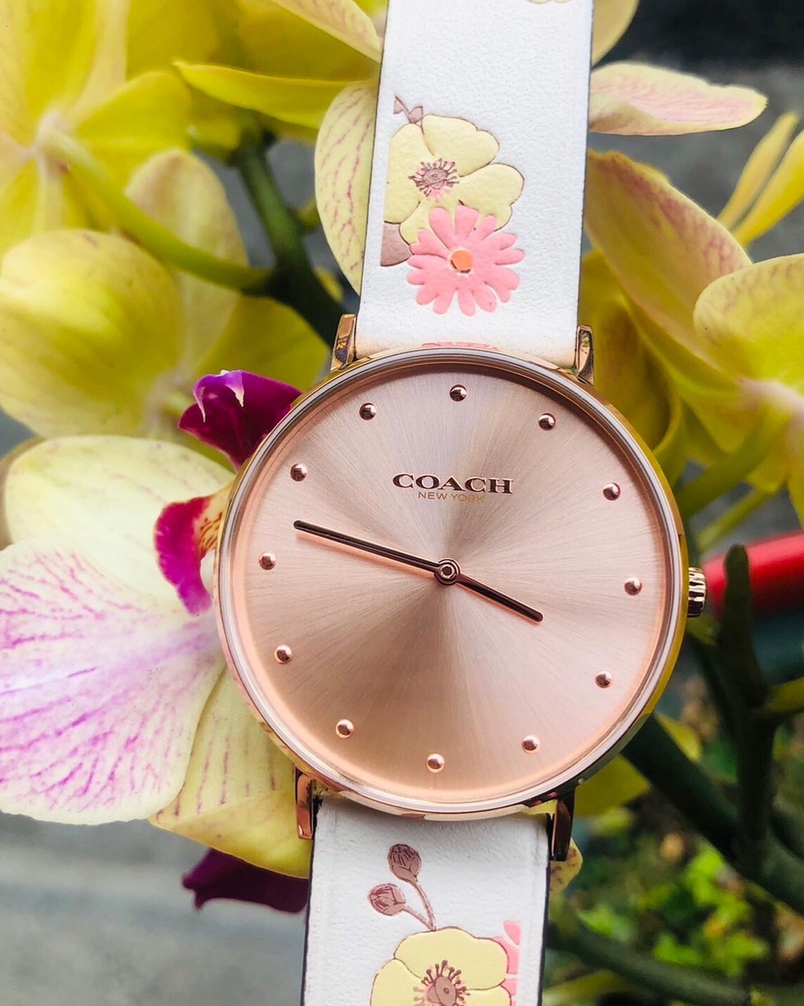 【Coach】時尚簡約花卉腕錶 CO14503920 32mm 現代鐘錶