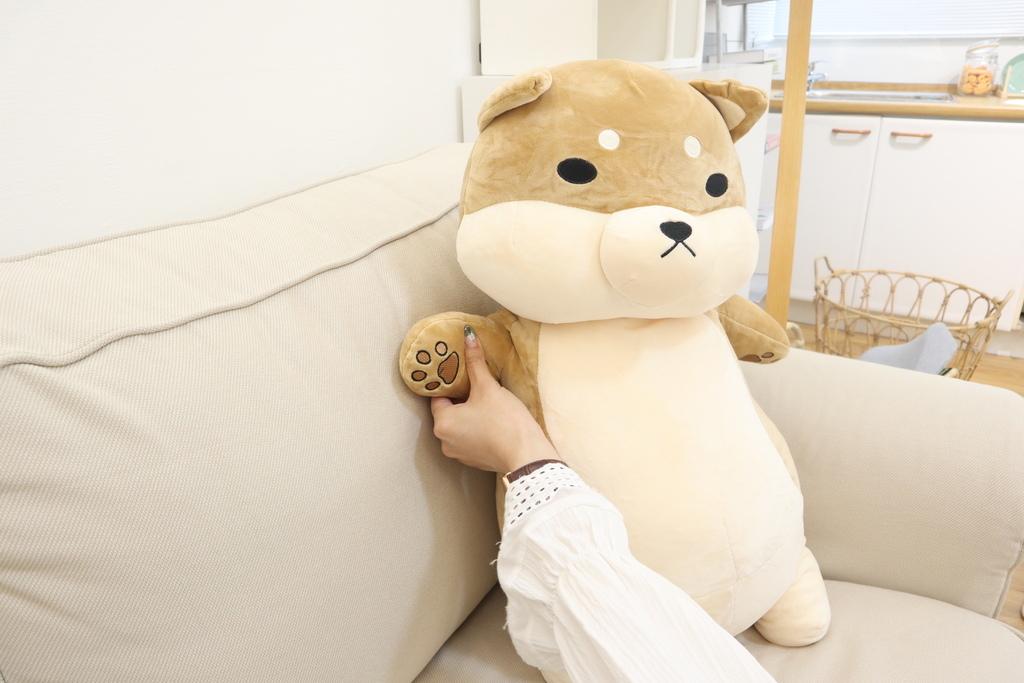 李亭亭推薦傲嘟嘟の柴之助抱枕，療癒又紓壓