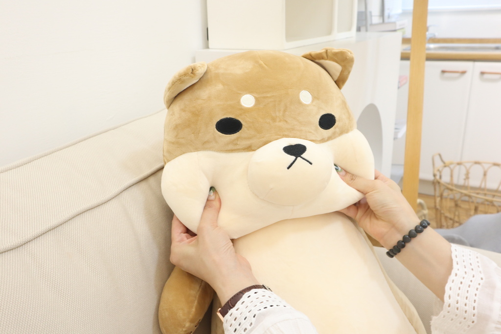 李亭亭推薦傲嘟嘟の柴之助抱枕，療癒又紓壓