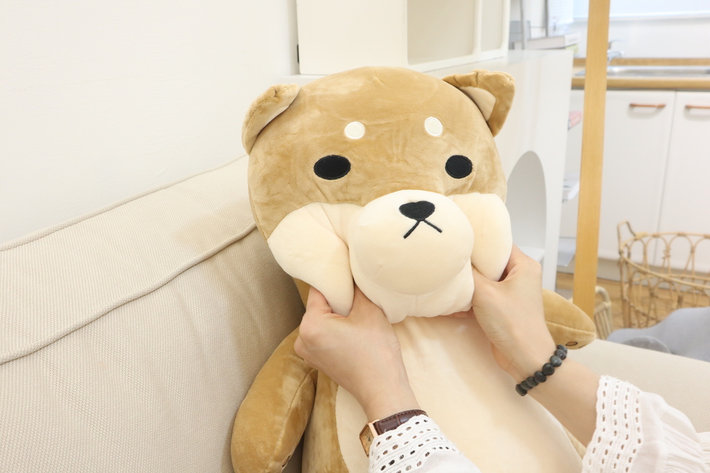 李亭亭推薦傲嘟嘟の柴之助抱枕，療癒又紓壓