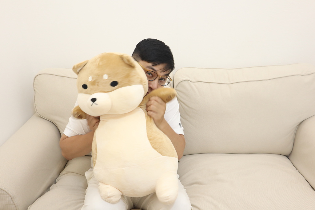 李亭亭推薦傲嘟嘟の柴之助抱枕，療癒又紓壓