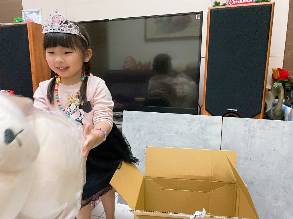 番茄媽咪推薦傲嘟嘟の柴之助抱枕，療癒又紓壓