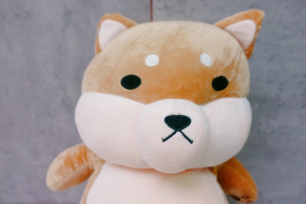 番茄媽咪推薦傲嘟嘟の柴之助抱枕，療癒又紓壓