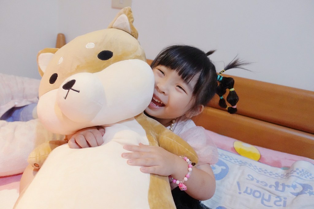 番茄媽咪推薦傲嘟嘟の柴之助抱枕，療癒又紓壓