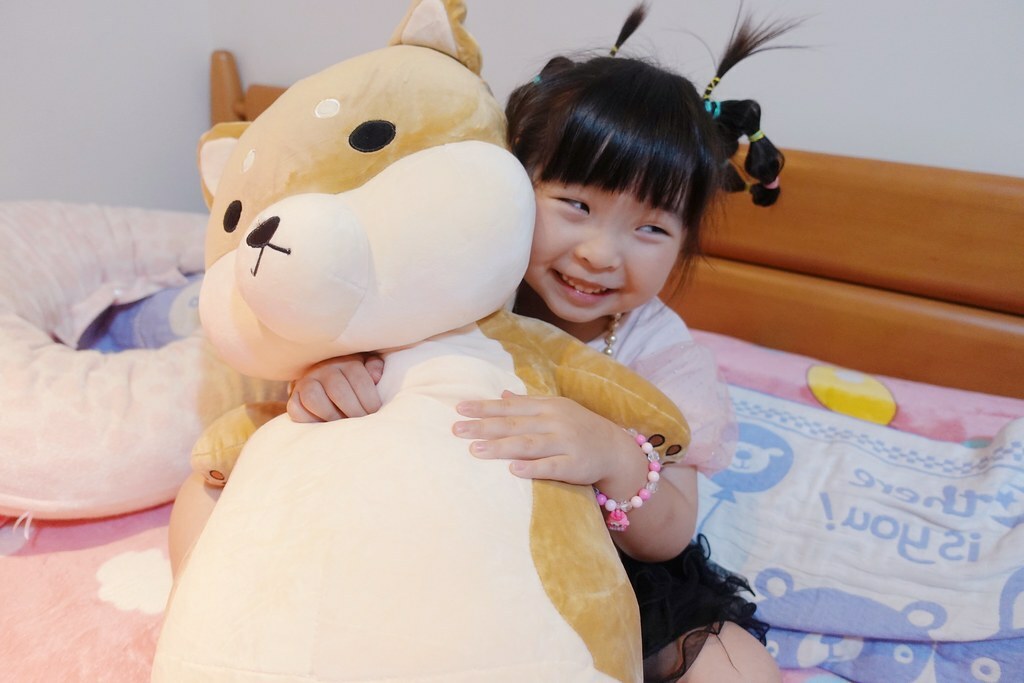 番茄媽咪推薦傲嘟嘟の柴之助抱枕，療癒又紓壓