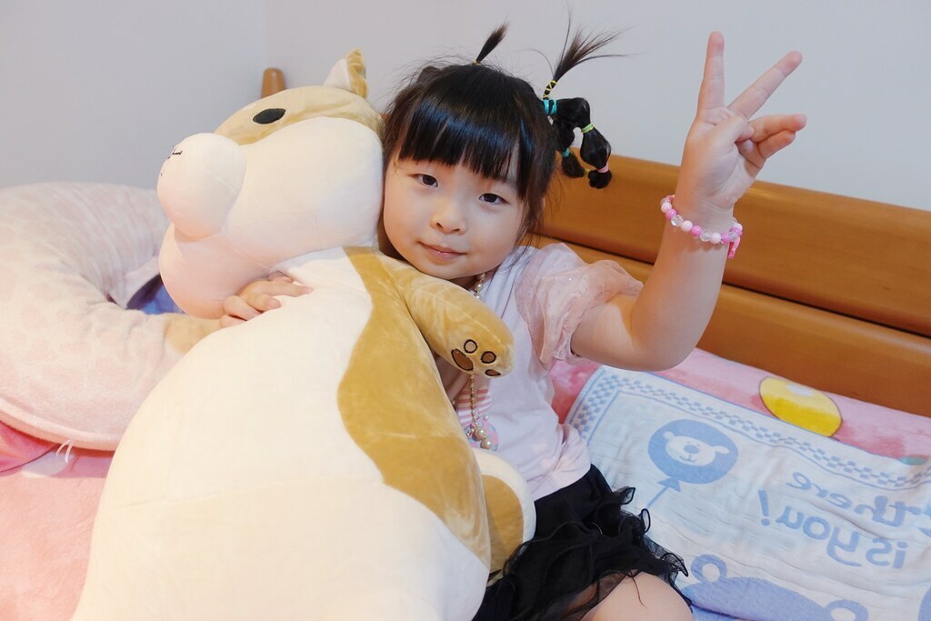 番茄媽咪推薦傲嘟嘟の柴之助抱枕，療癒又紓壓