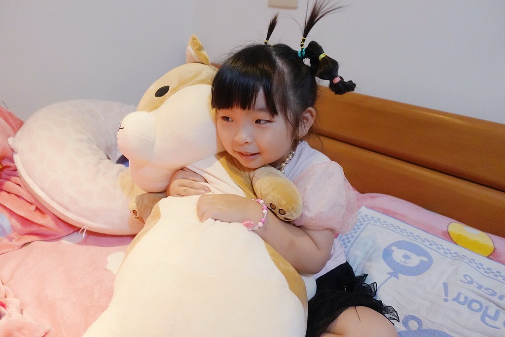 番茄媽咪推薦傲嘟嘟の柴之助抱枕，療癒又紓壓