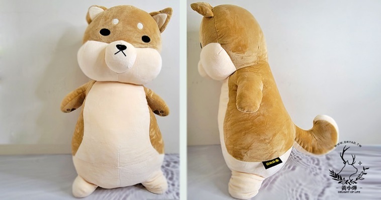 黃小燁推薦傲嘟嘟の柴之助，就像安撫娃娃讓人安心