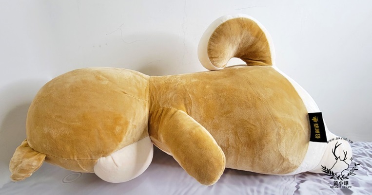 黃小燁推薦傲嘟嘟の柴之助，就像安撫娃娃讓人安心