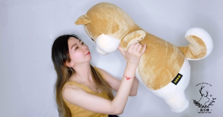 黃小燁推薦傲嘟嘟の柴之助，就像安撫娃娃讓人安心