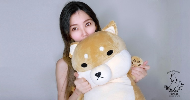 黃小燁推薦傲嘟嘟の柴之助，就像安撫娃娃讓人安心