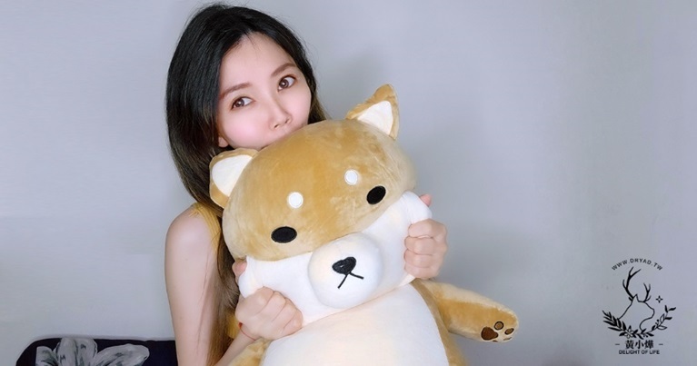 黃小燁推薦傲嘟嘟の柴之助，就像安撫娃娃讓人安心