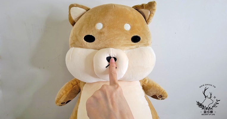 黃小燁推薦傲嘟嘟の柴之助，就像安撫娃娃讓人安心