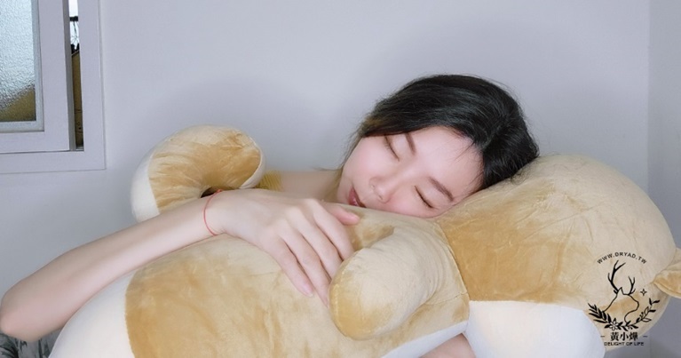 黃小燁推薦傲嘟嘟の柴之助，就像安撫娃娃讓人安心