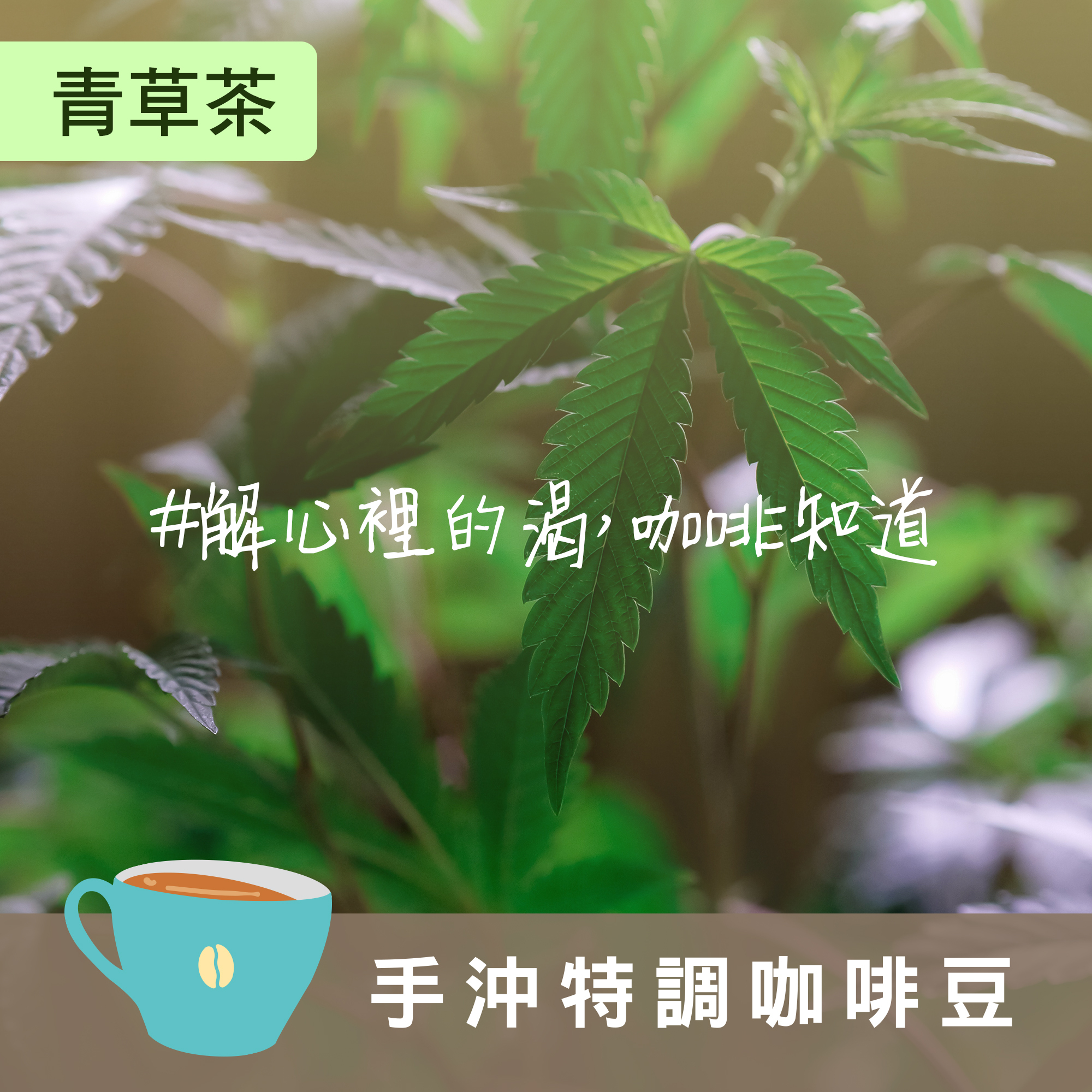 【青草茶 配方】＃解心裡的渴，咖啡知道