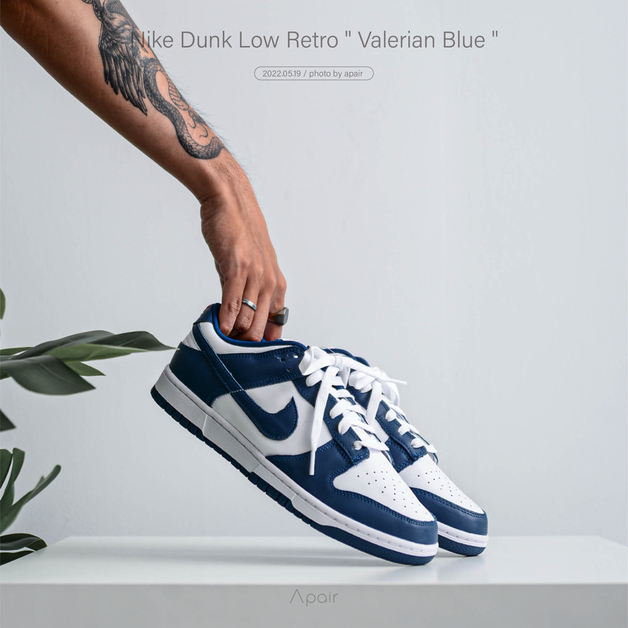新品]Nike Dunk Low Retro