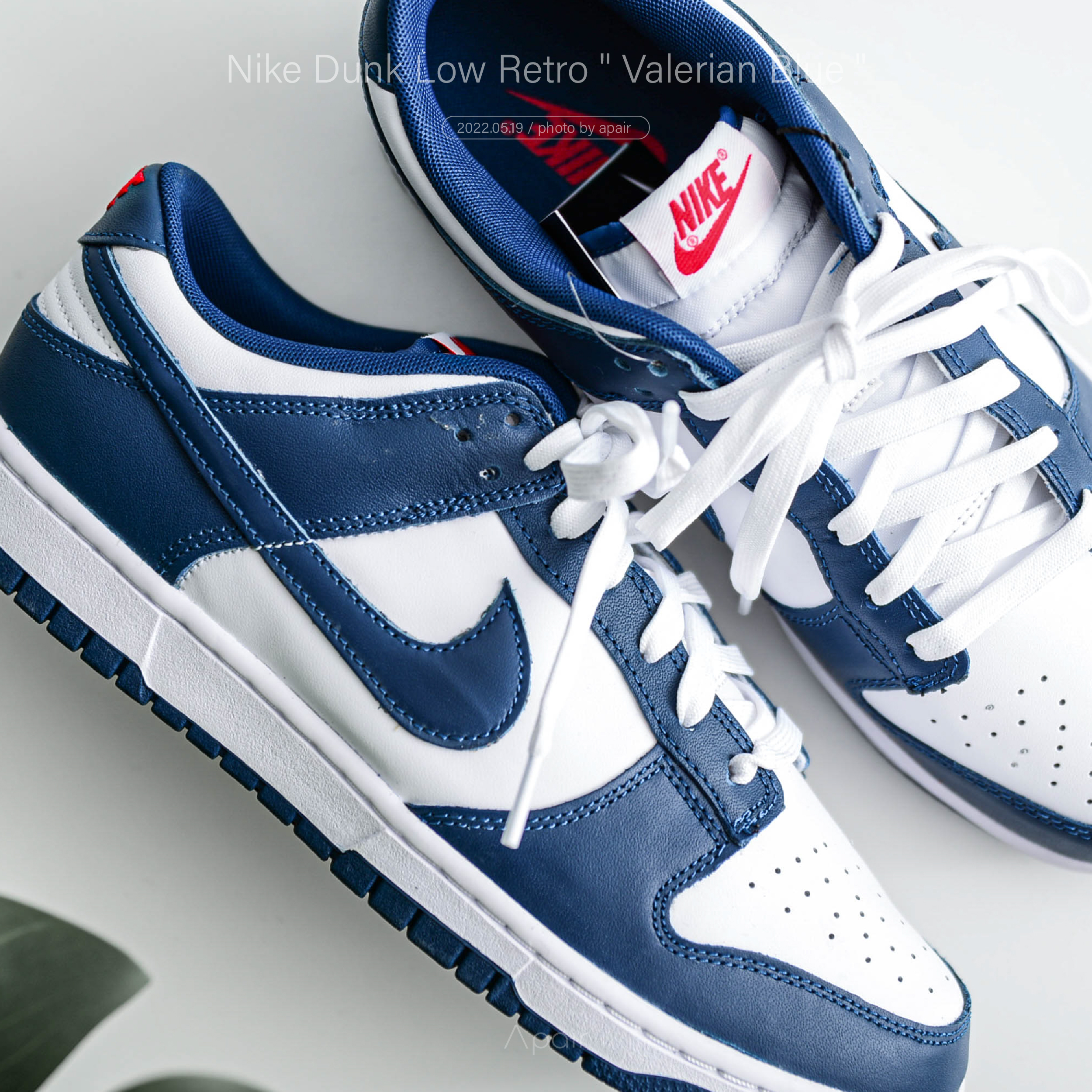 APAIR】預購Nike Dunk Low 