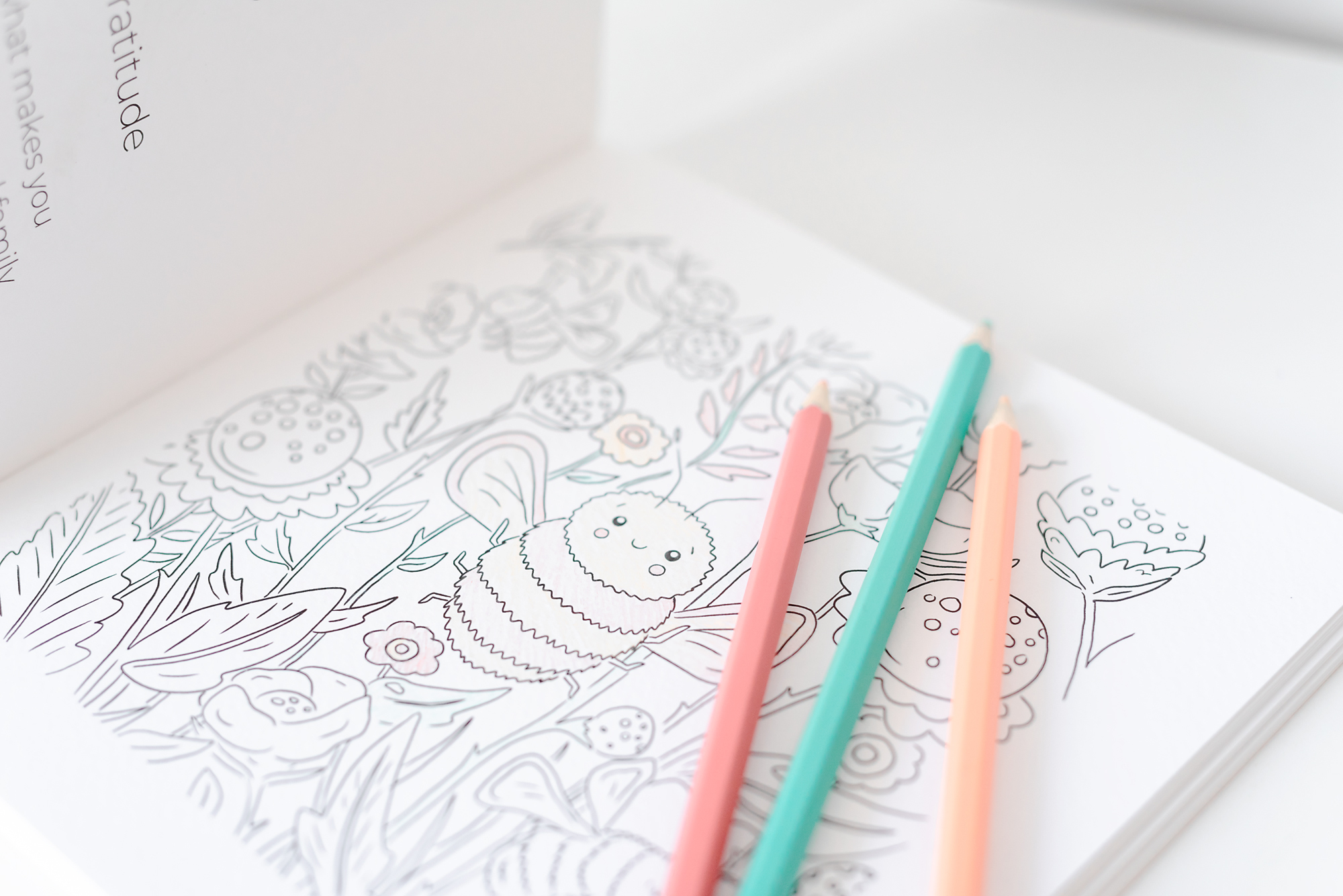 澳洲品牌Mindful & Co Kids - 正念填色繪本