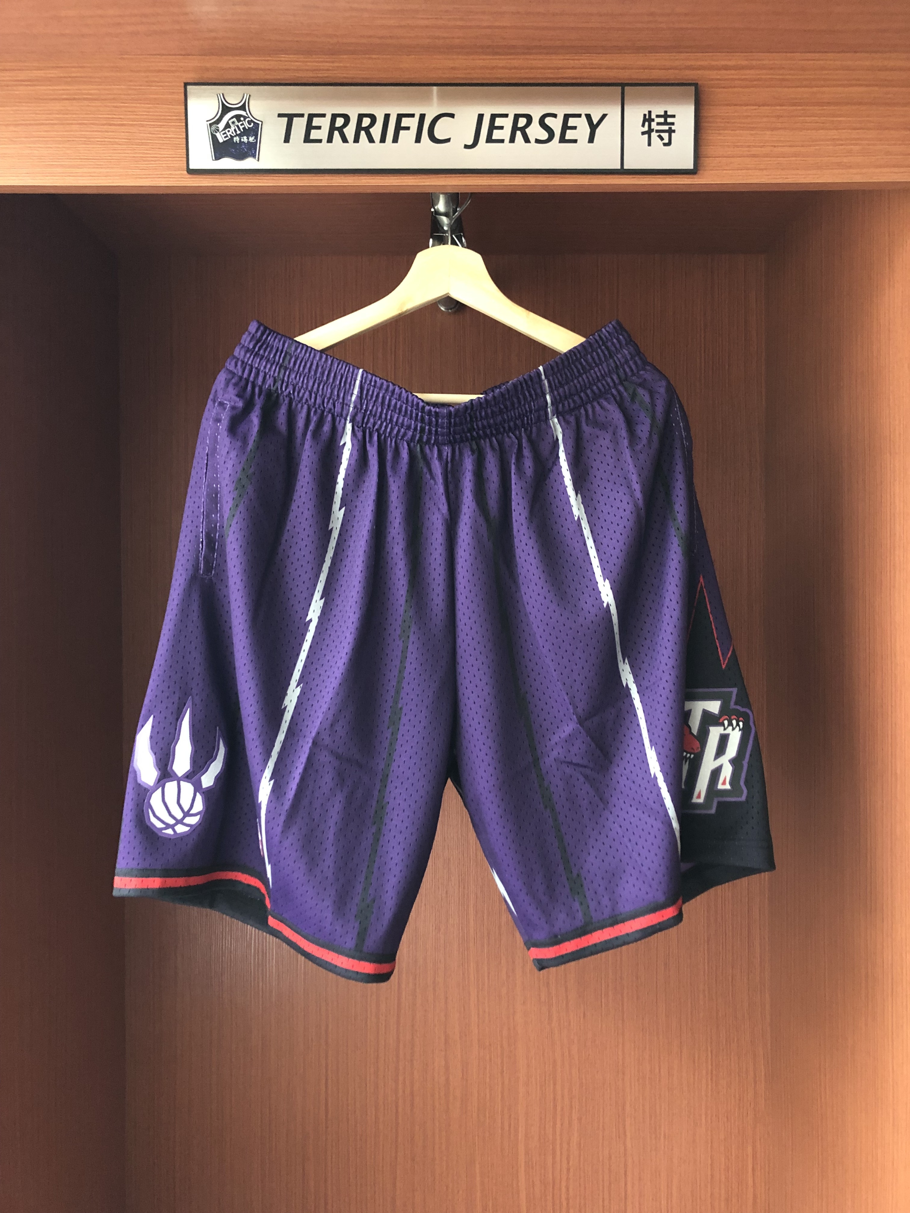 NBA球褲 Toronto Raptors 多倫多暴龍 復古紫 紫暴龍 M&N Swingman Shorts 球迷版 有口袋 全新