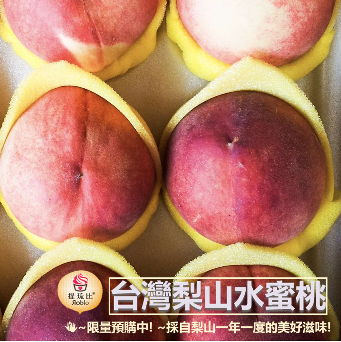 今年採收完畢，2026年見呦😊！產地直送 台灣梨山水蜜桃｜高海拔產區稀有大顆禮盒預購｜產地鮮採直送!  【現在預購，預計於7月20號後依序冷藏出貨】