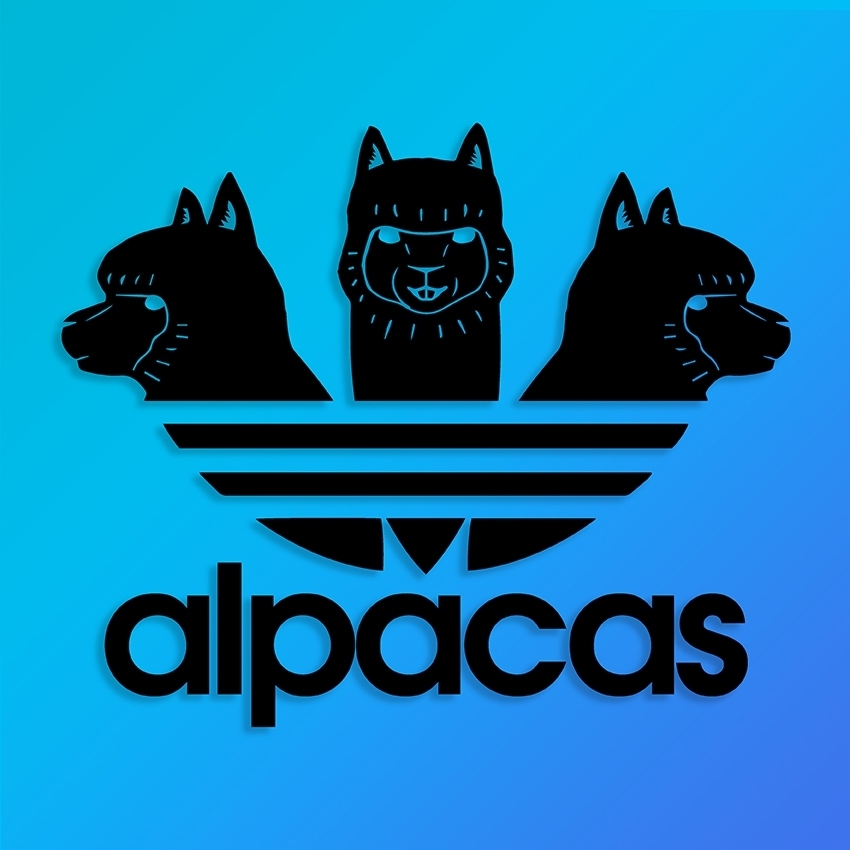 Alpacas Black Threehead 愛迪駝(白) 女版短T