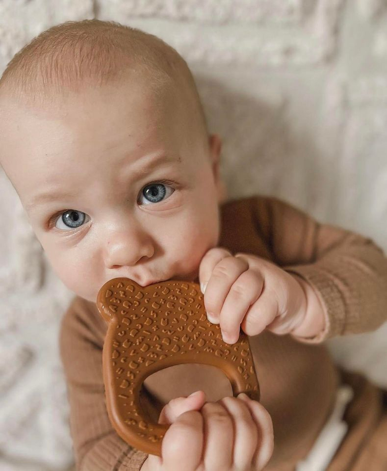 澳洲We Might be Tiny 熊寶寶矽膠固齒器-燕麥拿鐵
