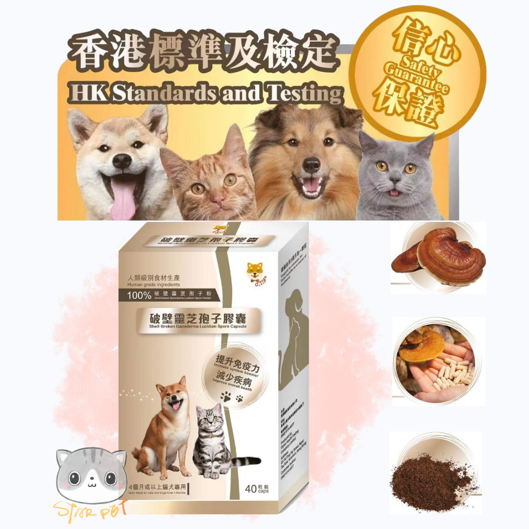 Foxgo Shell-broken Ganoderma Lucidum Spore 40 Capsule