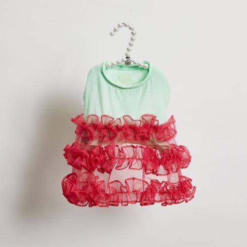 Louisdog 泰迪熊紗裙洋裝