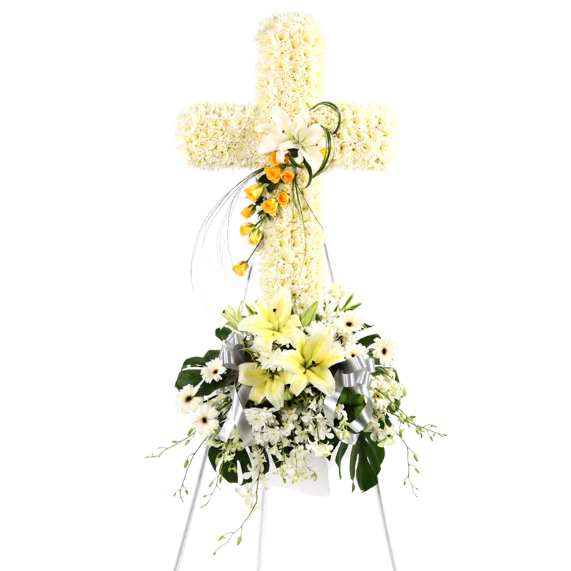 H150*****MEMBER DISCOUNT