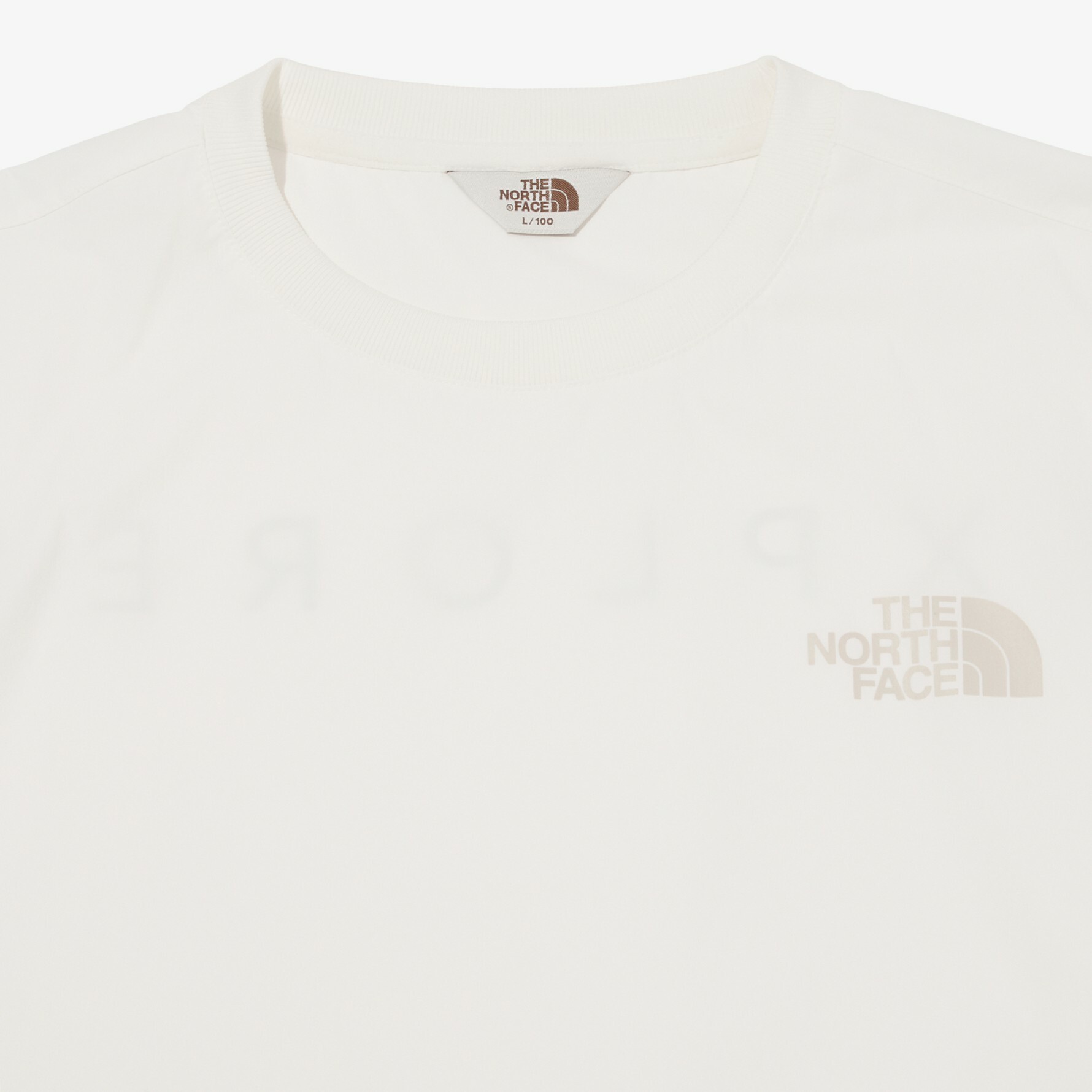 THE NORTH FACE ICE RUN 白標限定 運動 涼感機能 短袖 短T 白 NT7UN02L