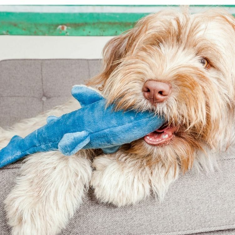 Fluff & Tuff - Tank Shark