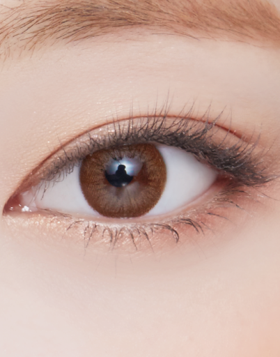 LensVery Rosee Classic 每月拋棄彩妝隱形眼鏡｜每盒2片 (Brown)