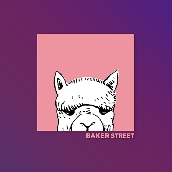 Hide red alpaca 童裝短袖T恤