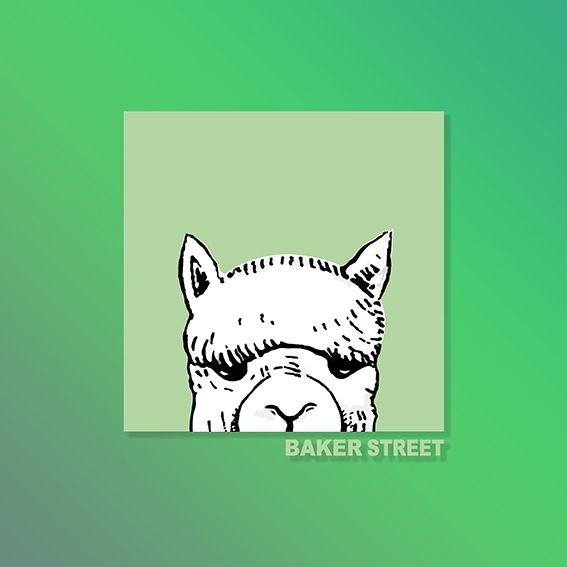 Hide green alpaca 童裝短袖T恤