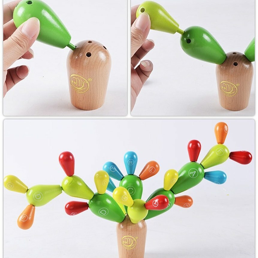 字母仙人掌長大版