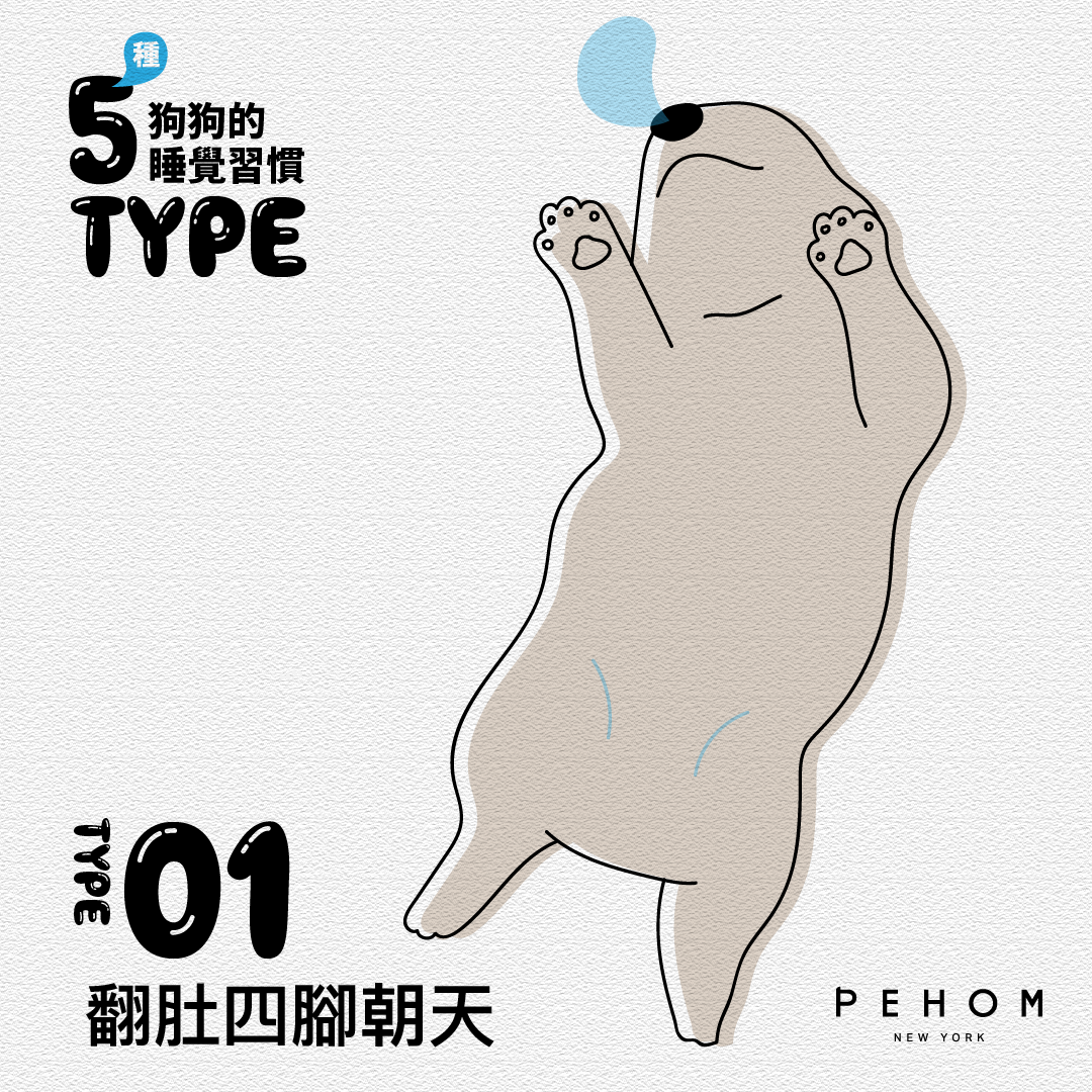 PEHOM｜狗狗的五種睡覺習慣｜