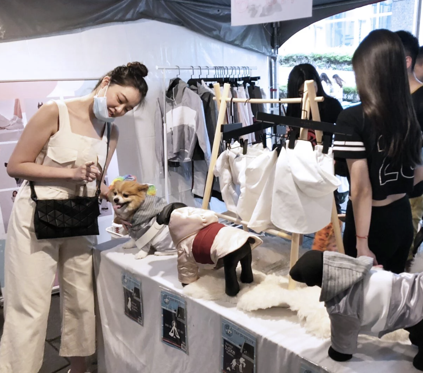 ｜和你一起，毛孩趴 ｜邀您一起享受寵物盛大聚會！