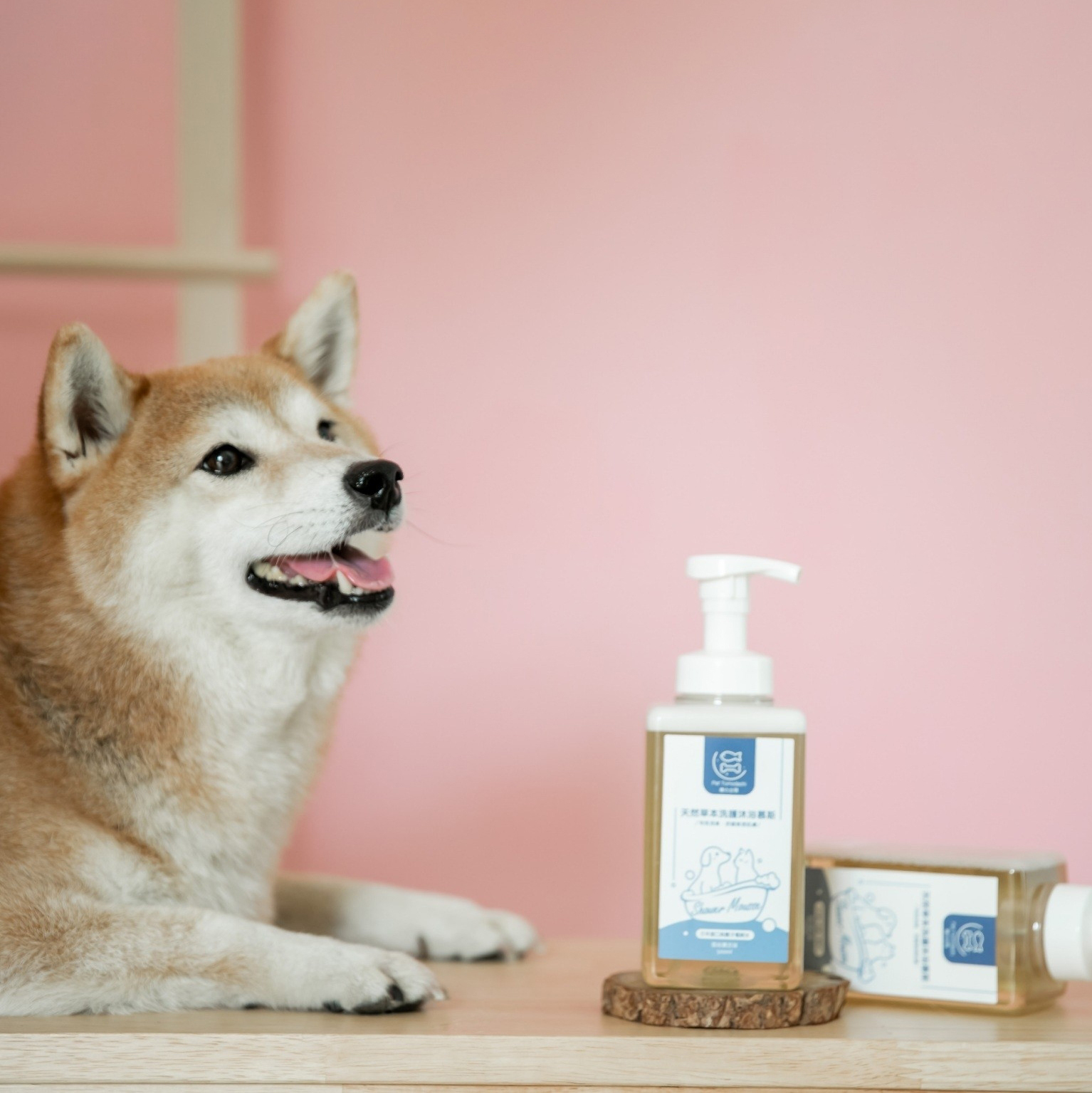 平衡控油｜天然草本洗護沐浴慕斯 - 雪松薰衣草｜負離子電解｜毛孩肌膚護理- PetTomodachi