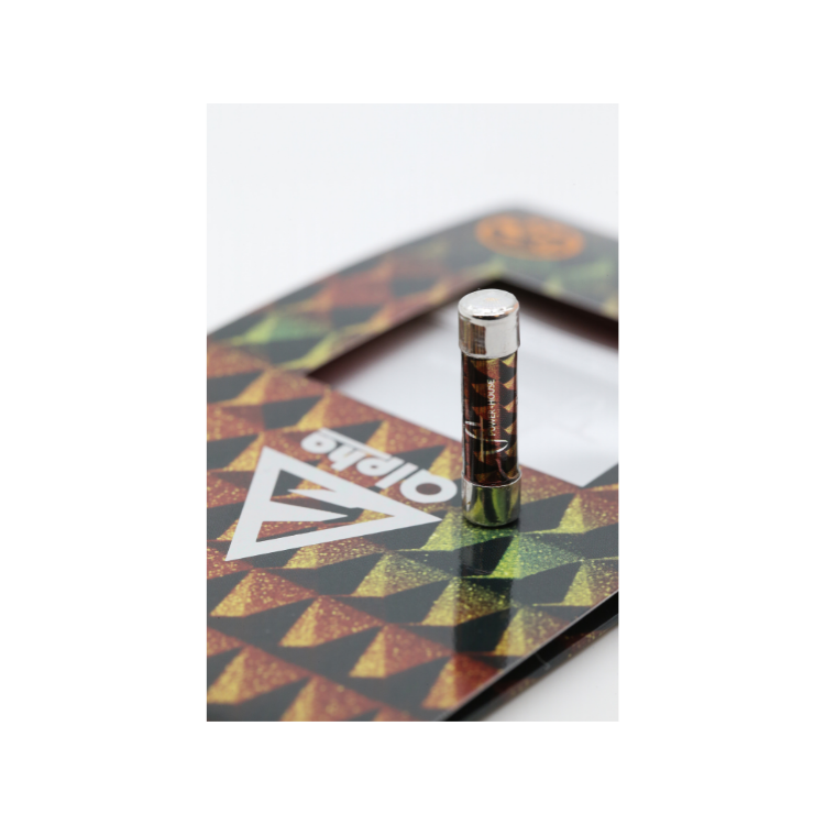 Power House Alpha 10000