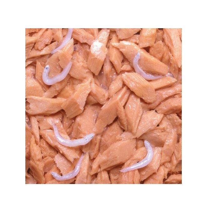 CIAO 貓罐頭 鏗魚+白飯魚+帆立貝  80g A-12【原箱24 罐】