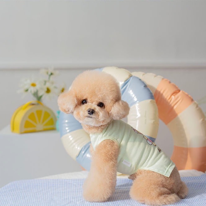 OPAAAP 軟糖小熊T-Shirt夏季版