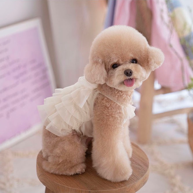 OPAAAP 夏日糖果泳裝