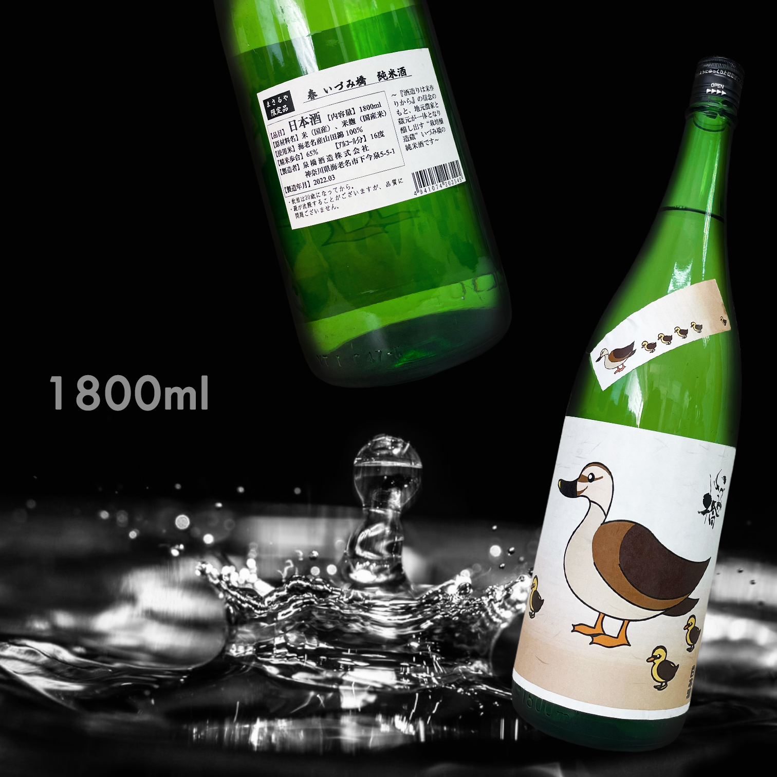 泉橋 純米酒 春 (1.8L)